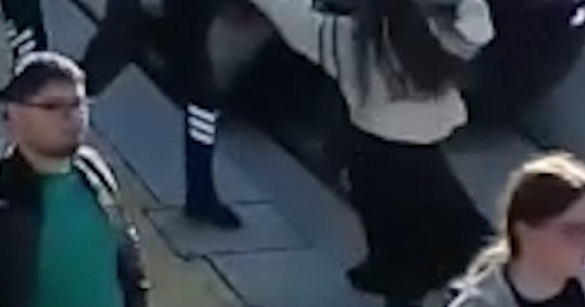 f vert brk turkey train 251016.00 00 24 28.Still002 2z30y4