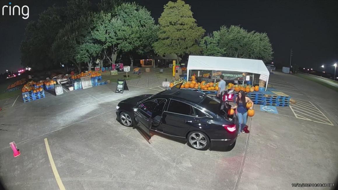 Mất cắp bí ngô tại nhà thờ ở Katy, Texas 1 ffd3585d 1bf8 489e ae40