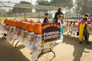 Milpitas tổ chức sự kiện Halloween "Pumpkins in the Park" vào ngày 25 tháng 10 11 Milpitas tổ chức sự kiện Halloween “Pumpkins in the Park” vào ngày 25 tháng 10