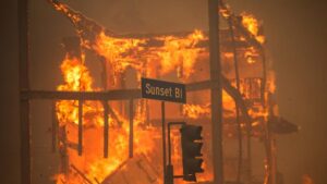 Cư dân Palisades cho rằng giới chức California chịu trách nhiệm chính cho vụ cháy rừng 25 Cư dân Palisades cho rằng giới chức California chịu trách nhiệm chính cho vụ cháy rừng