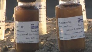 Vùng Vịnh Santa Monica đối mặt nguy cơ ô nhiễm sau vụ cháy rừng Palisades 2 Vùng Vịnh Santa Monica đối mặt nguy cơ ô nhiễm sau vụ cháy rừng Palisades