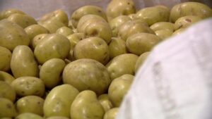 Seattle: Tổ chức phi lợi nhuận lo ngại khủng hoảng thực phẩm do chính phủ đóng cửa 25 Seattle: Tổ chức phi lợi nhuận lo ngại khủng hoảng thực phẩm do chính phủ đóng cửa