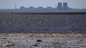 Cơ quan Giám sát Hạt nhân Liên Hiệp Quốc kêu gọi ngừng bắn cục bộ để phục hồi điện cho nhà máy Zaporizhzhia 5 Cơ quan Giám sát Hạt nhân Liên Hiệp Quốc kêu gọi ngừng bắn cục bộ để phục hồi điện cho nhà máy Zaporizhzhia