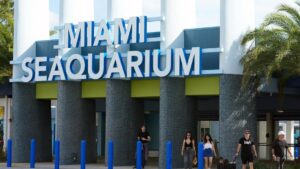 Thủy Cung Miami Seaquarium Được Yêu Mến và Tranh Cãi Chính Thức Đóng Cửa 3 Thủy Cung Miami Seaquarium Được Yêu Mến và Tranh Cãi Chính Thức Đóng Cửa