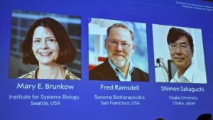 Ba nhà khoa học đoạt giải Nobel Y học nhờ nghiên cứu hệ miễn dịch 8 Ba nhà khoa học đoạt giải Nobel Y học nhờ nghiên cứu hệ miễn dịch