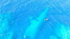 New Zealand bồi thường Samoa 3.6 triệu USD sau vụ đắm tàu 4 New Zealand bồi thường Samoa 3.6 triệu USD sau vụ đắm tàu