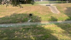 Houston Đối Mặt Với Vấn Đề Nước Cống Thải Sinh Hoạt và Nguy Cơ Sức Khỏe Từ Các Vụ Tràn