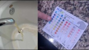 Cư dân Magnolia phàn nàn nước máy có màu vàng, dân kêu trời vì mất vệ sinh 6 Cư dân Magnolia phàn nàn nước máy có màu vàng, dân kêu trời vì mất vệ sinh