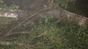 Sau bão lốc tàn phá, Quận Harris tung nguồn lực phục hồi 25 Sau bão lốc tàn phá, Quận Harris tung nguồn lực phục hồi