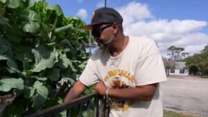 Acres Homes khôi phục truyền thống nông nghiệp nhờ thủy canh