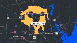 Texas: Hai ứng viên Đảng Dân Chủ vào vòng nhì bầu cử Hạ Viện 6 Texas: Hai ứng viên Đảng Dân Chủ vào vòng nhì bầu cử Hạ Viện