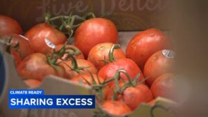 Tổ Chức Phi Lợi Nhuận Trụ Sở Tại Philadelphia Giúp Đỡ Người Thiếu Thốn Thực Phẩm 4 Tổ Chức Phi Lợi Nhuận Trụ Sở Tại Philadelphia Giúp Đỡ Người Thiếu Thốn Thực Phẩm