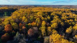 Tyler Arboretum Mở Cửa Trở Lại Sau Khi Khắc Phục Thảm Họa Sâu Bọ 2 Tyler Arboretum Mở Cửa Trở Lại Sau Khi Khắc Phục Thảm Họa Sâu Bọ
