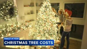 Chi phí trang trí Giáng sinh năm nay tăng cao, chuyên gia giải thích 4 Chi phí trang trí Giáng sinh năm nay tăng cao, chuyên gia giải thích