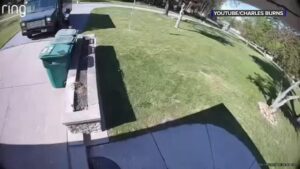 Chủ nhà ở Indiana Tranh chấp với Amazon về Xe tải Giao hàng Chạy trên Lối vào Nhà 32 Chủ nhà ở Indiana Tranh chấp với Amazon về Xe tải Giao hàng Chạy trên Lối vào Nhà