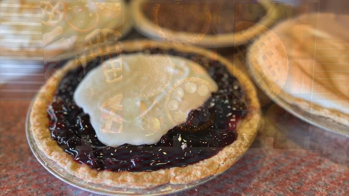 18210363 112525 kgo 4p heidis pies vid