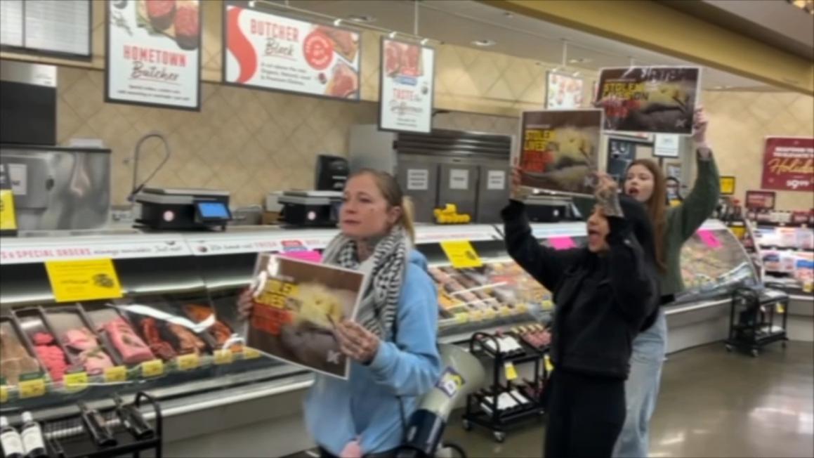 Người bảo vệ động vật biểu tình tại Safeway Oakland trước Lễ Tạ Ơn 1 18219371 112625 kgo poultry protectors 2 img