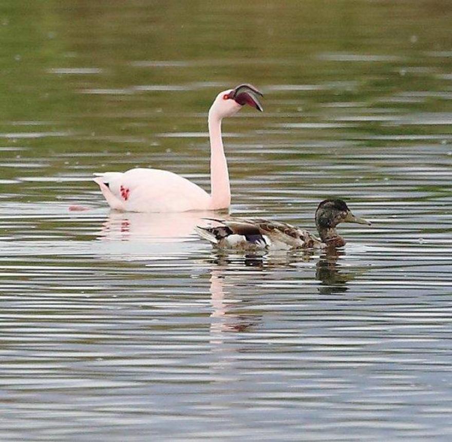 20130727 2ef78c8a 0863 4d4f bbd7 80d2caeda191p2