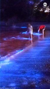 Ánh sáng kỳ diệu làm say đắm du khách ở New Zealand 5 Ánh sáng kỳ diệu làm say đắm du khách ở New Zealand