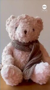 Đồ chơi AI bị đình chỉ vì gửi tin nhắn nguy hiểm cho trẻ em 12 Đồ chơi AI bị đình chỉ vì gửi tin nhắn nguy hiểm cho trẻ em