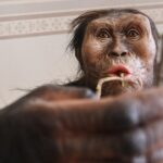 Bàn chân hóa thạch hé lộ một loài người cổ đại từng sống cùng Lucy