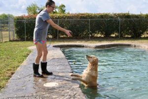 Waggin' Tails: Ngôi nhà thứ hai cho thú cưng ở Katy-Fulshear 12 Waggin’ Tails: Ngôi nhà thứ hai cho thú cưng ở Katy-Fulshear