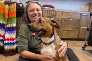 12 Cơ Hội Tình Nguyện và Đóng Góp Tại San Marcos, Buda và Kyle