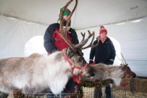 Khởi động mùa lễ hội với 9 sự kiện đặc sắc tại Flower Mound, Highland Village và Argyle