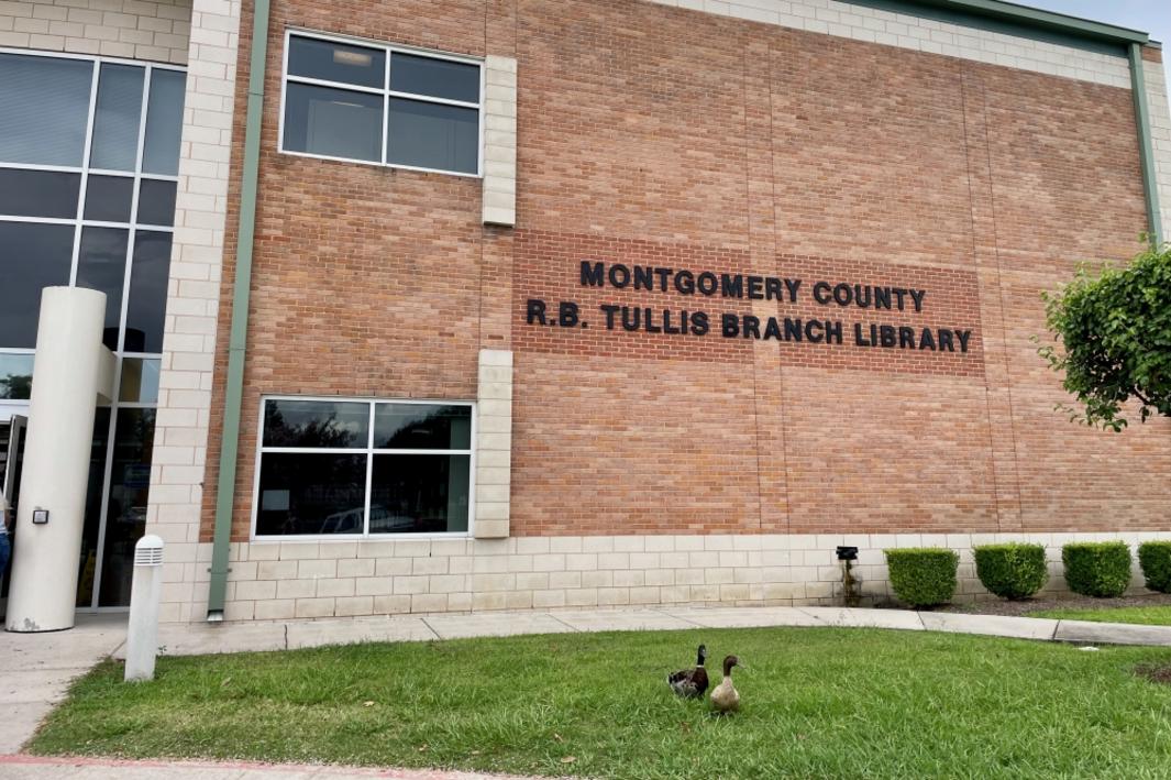 7 sự kiện Lễ Tạ Ơn, kể chuyện hài hước, thi đấu hài kịch: Diễn ra tại New Caney, Porter từ 19-23/11 1 396110