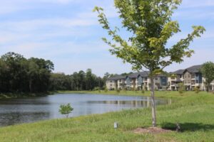 Yard 99 Sẽ Mang Ba Nhà Hàng Mới Đến Valley Ranch Ở New Caney 20 Yard 99 Sẽ Mang Ba Nhà Hàng Mới Đến Valley Ranch Ở New Caney