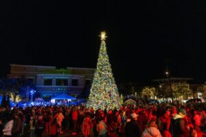 Lịch trình cuối tuần: Trưng bày đèn Giáng sinh, Ngày Thứ Bảy Doanh nghiệp Nhỏ, Gặp gỡ Ông già Noel