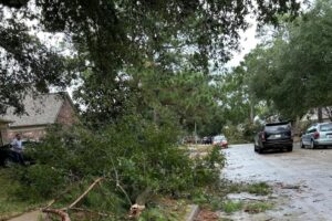 Dọn dẹp sau lốc xoáy ở Harris County