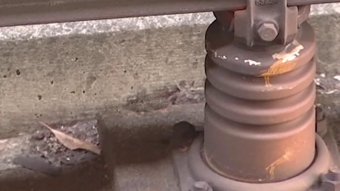 BART Ngừng Vệ Sinh Bụi Gây Ra Sự Cố 'Flashover' Trong Tàu Điện Ngầm Từ Năm 2020 1 43465903853 1080pnbcstations