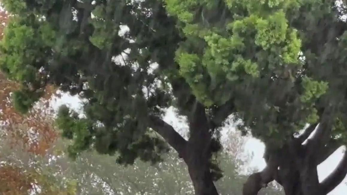 Miền Nam California chuẩn bị đón thêm mưa, nguy cơ lở đất 1 478dd037eac9e11f6f65c79a3ee21872