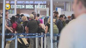 Hoạt động hàng không có thể bị gián đoạn nhiều tuần sau khi chính phủ tái hoạt động