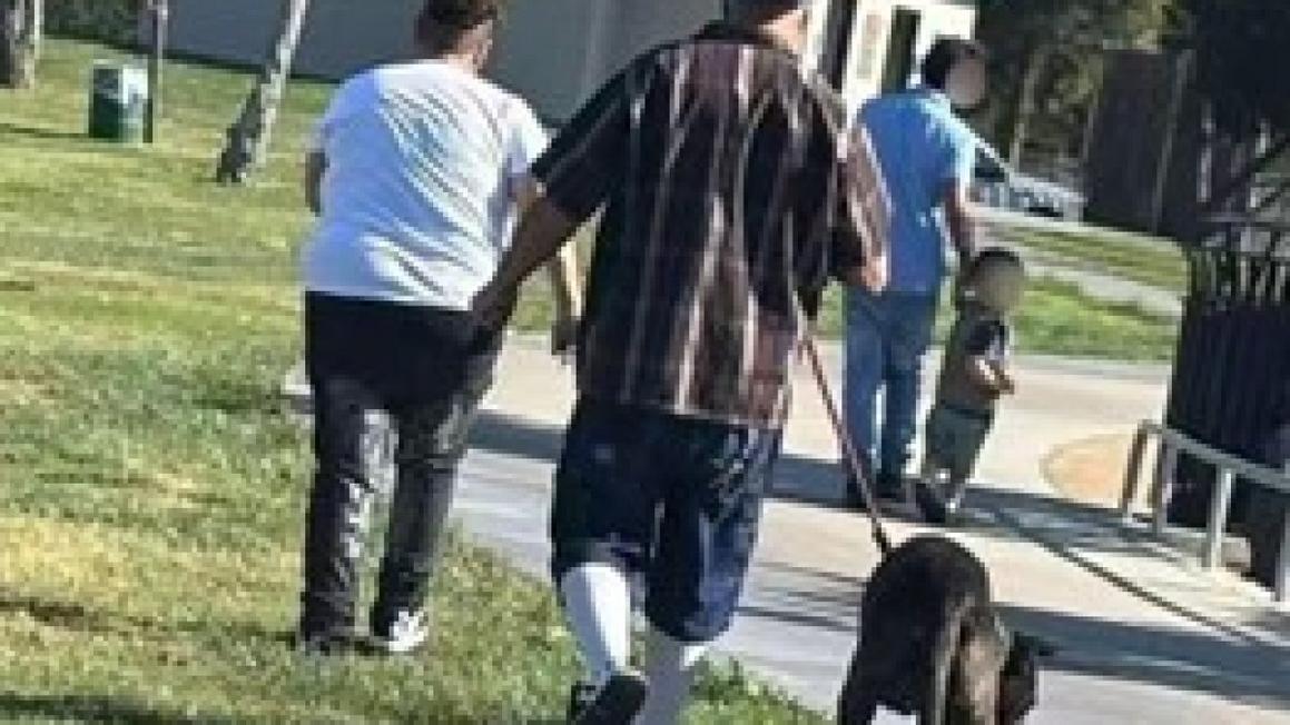 Cảnh sát Fremont truy tìm chủ nhân và chó liên quan đến vụ tấn công gây chết chó cưng 1 574345016 1242290574601145 189539083250248398 n