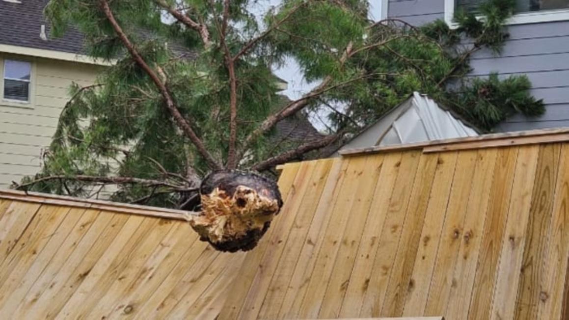 5LX5VHLAPBAVRLCCRZLM55BEWM