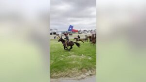 Đội bóng bầu dục Trung học Texas nhận lời tiễn quân ‘độc nhất vô nhị’ gây sốt