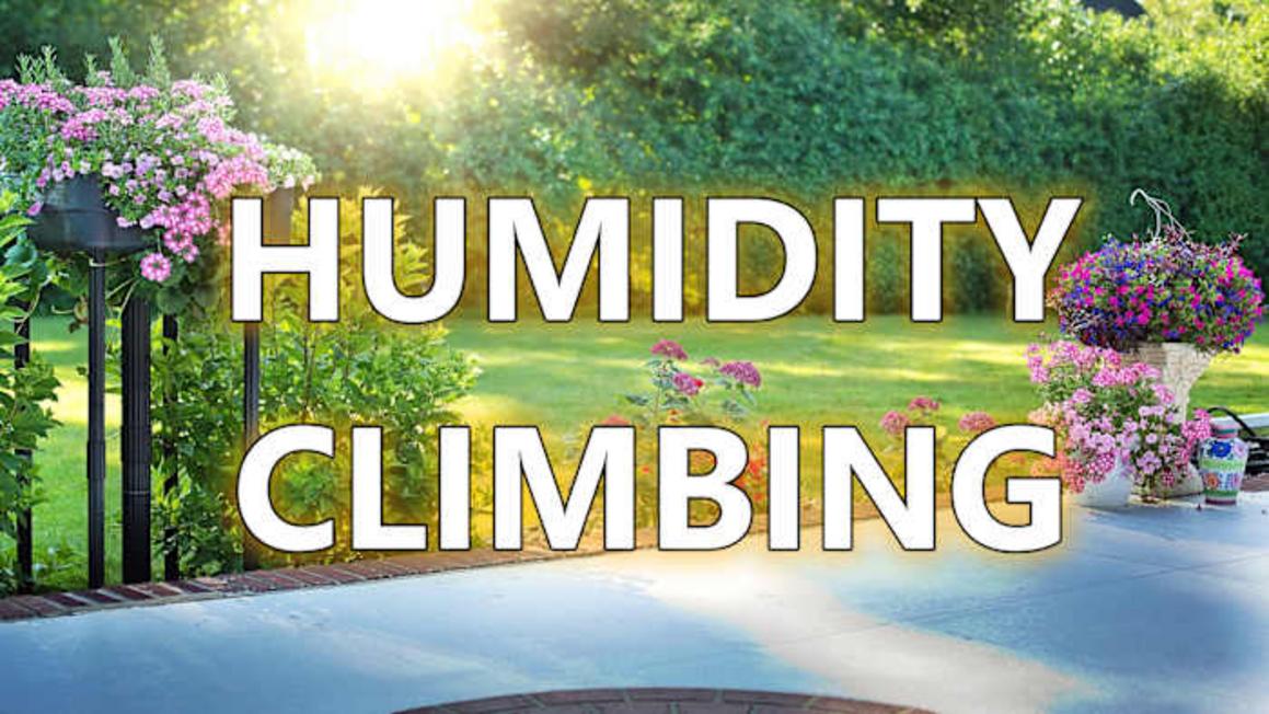 Thời tiết nắng đẹp cho ngày bầu cử ở Houston 4 Thời tiết nắng đẹp cho ngày bầu cử ở Houston