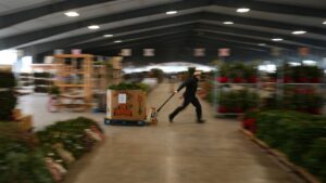 Bán đấu giá cây thông Noel lớn nhất Pennsylvania