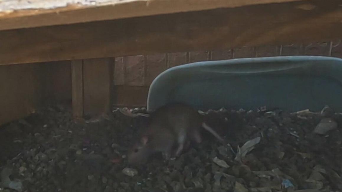 CFA0DDB5B6DB2B78BCA35EC9DDD71841