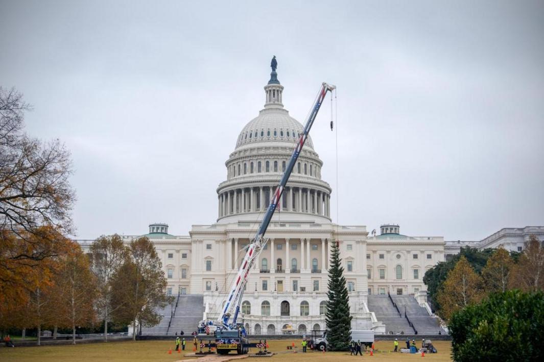 Capitol Christmas Tree 03616