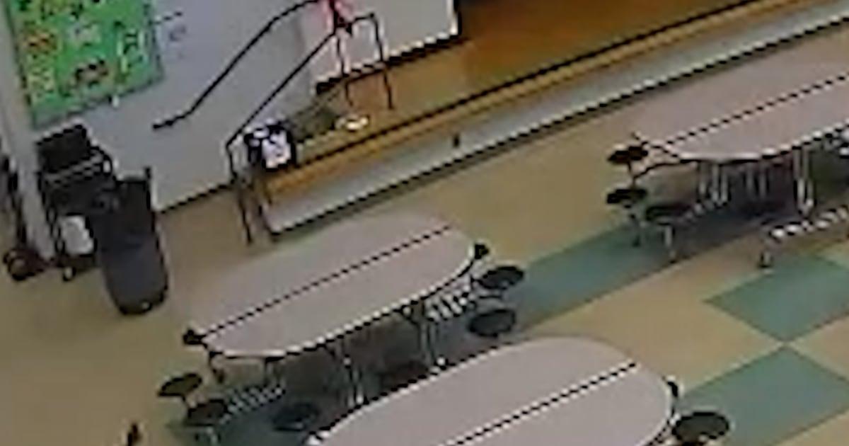 Hươu chạy vào trường học ở Ohio 1 Deer School Thumb Vert