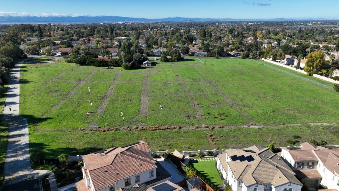 EBT L CRICKET 1122 5