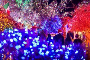 Đèn Giáng Sinh 2025: 27 Màn Trình Diễn Ánh Sáng Lộng Lẫy Nhất Vùng Vịnh