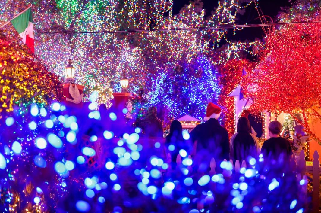 EBT L XMASLIGHTS 12XX 9