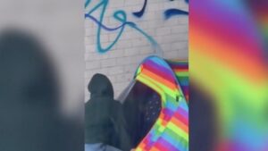 Nhà hoạt động bức xúc vì cách ứng xử của cơ quan công lực trước vụ lạm dụng động vật