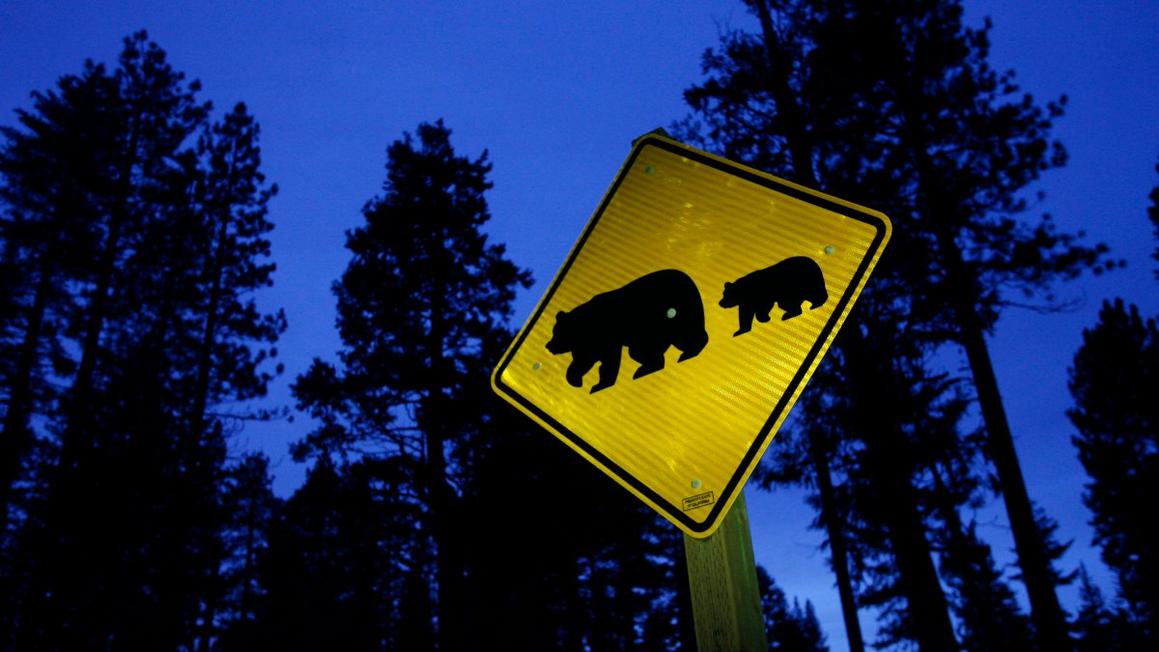 GettyImages 1408863400