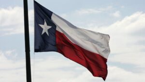 Cử Tri Texas Sẵn Sàng Bỏ Phiếu Trong Cuộc Bầu Cử Giữa Nhiệm Kỳ 10 Cử Tri Texas Sẵn Sàng Bỏ Phiếu Trong Cuộc Bầu Cử Giữa Nhiệm Kỳ