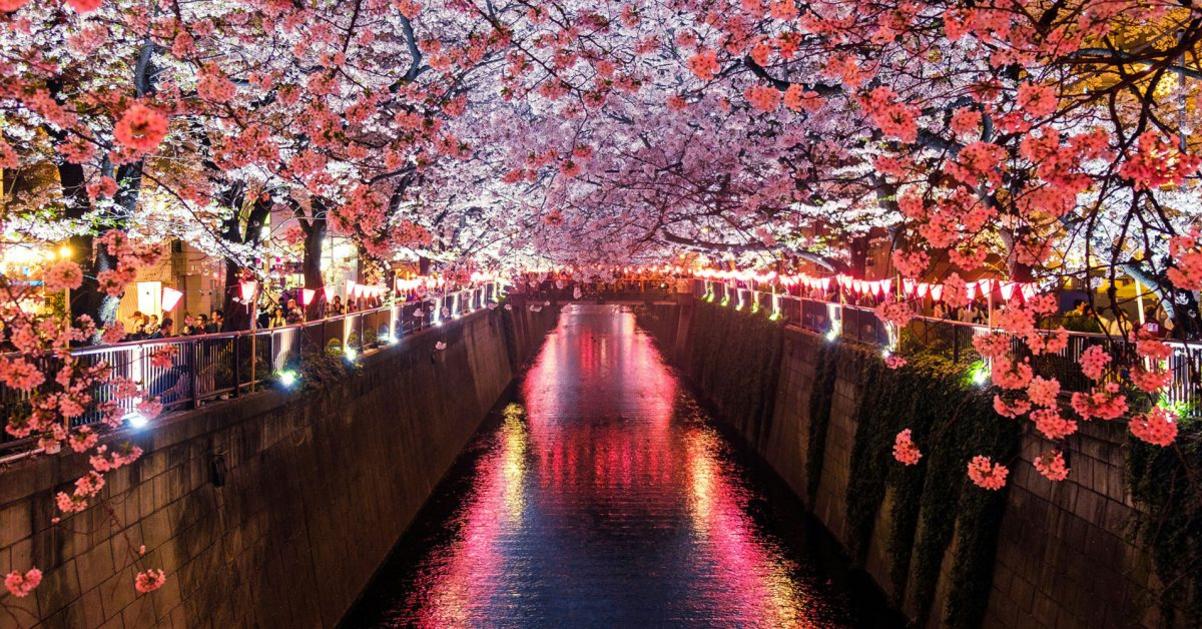 Nhật Bản Sẽ Là Quốc Gia Thứ 29 Có Cửa Hàng Ứng Dụng Bên Thứ Ba Cho iPhone 1 Japan to become 29th country to get third party iPhone app stores